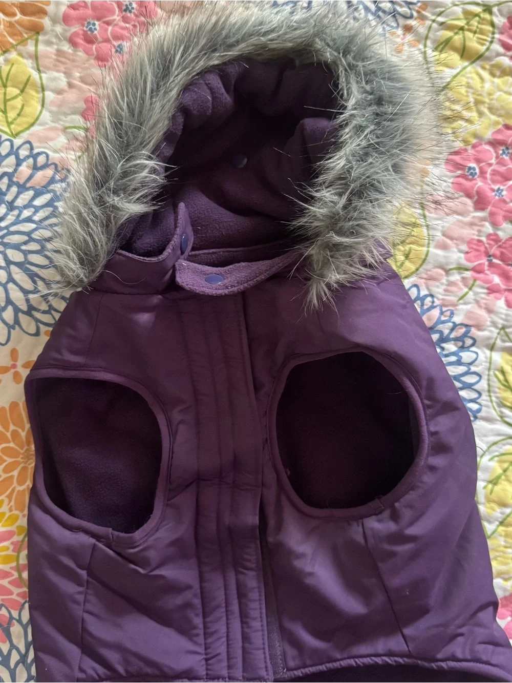 Size 18 Canada pooch purple dog jacket